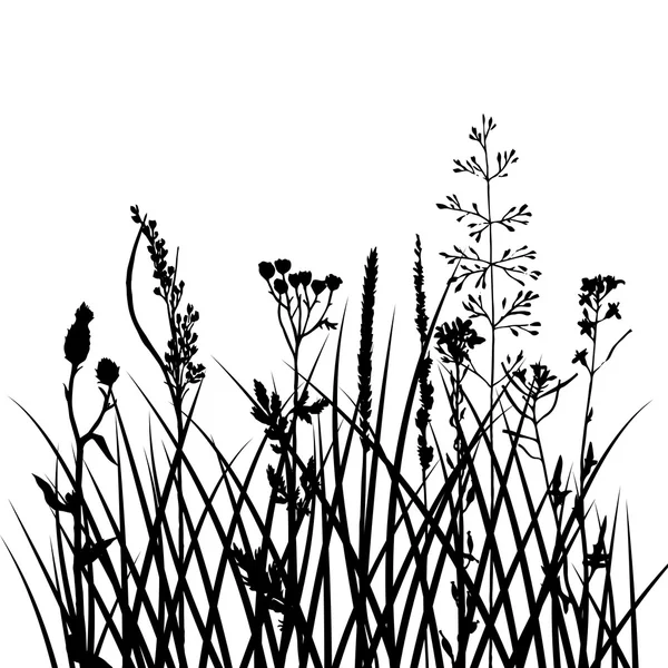 Siluetas vectoriales de flores y hierba — Archivo Imágenes Vectoriales