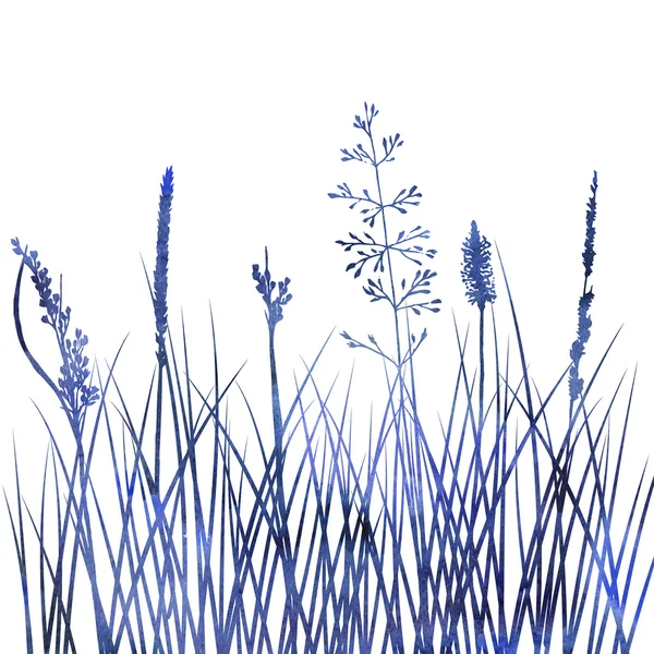 Silhouetten von Blumen und Gras — Stockfoto