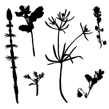 Çizim bitkiler siluetleri vektör kümesi