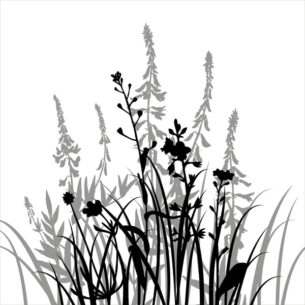 Vector silhouettes of flowers and grass — Stock Vector