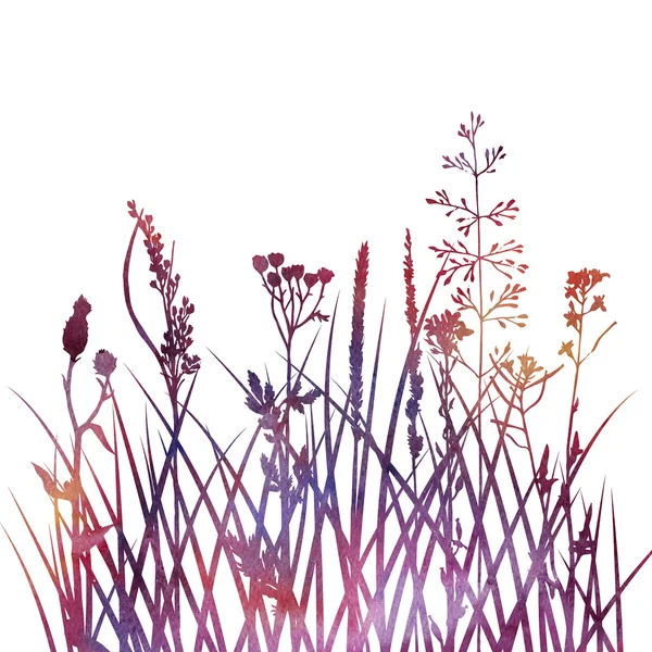 花や草のシルエット — ストック写真
