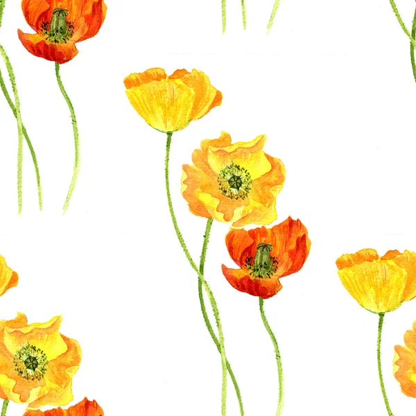 Modello senza soluzione di continuità con acquerello disegno fiori di papaveri gialli — Foto Stock