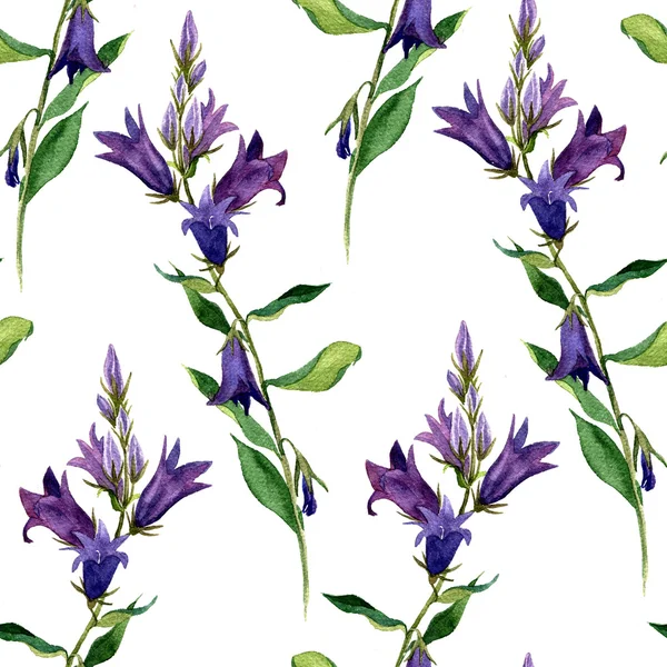 Sulu Boya çizim blue Bell'de çiçekler ile Seamless Modeli — Stok fotoğraf