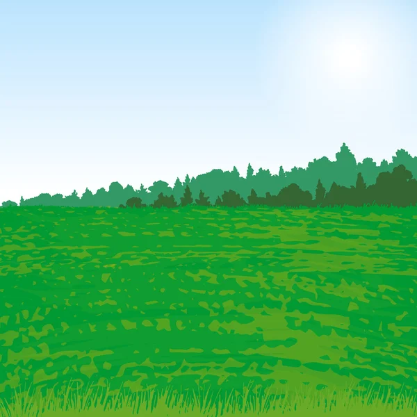 Paysage de vallée avec forêt et herbe — Image vectorielle
