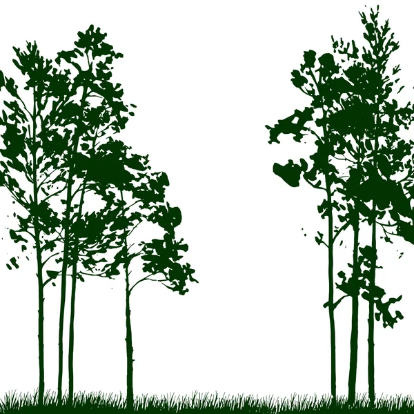 Silueta paisaje con pinos — Vector de stock