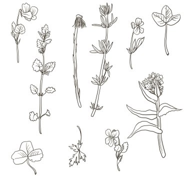 bitkiler siluetleri kümesi