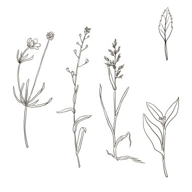 bitkiler siluetleri kümesi