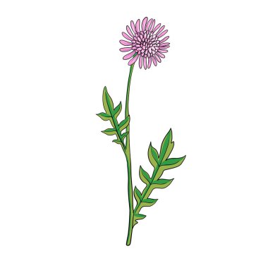 vektör çizim alanı kaba