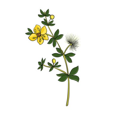 vektör çizim bölümü