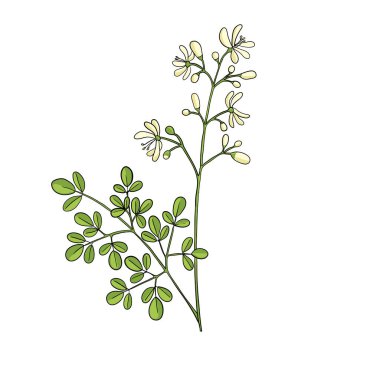 vektör çizim çubuğu ağacı