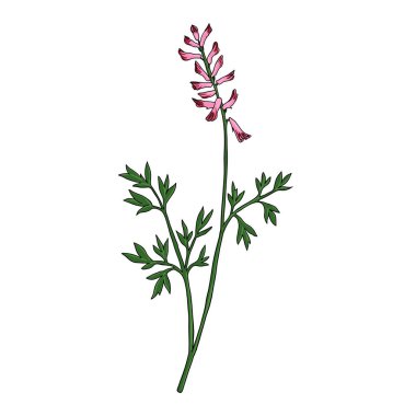 vektör dezenfekte özelliği