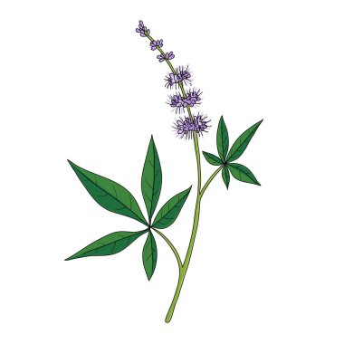 vektör kırmızı çilek çiziyor