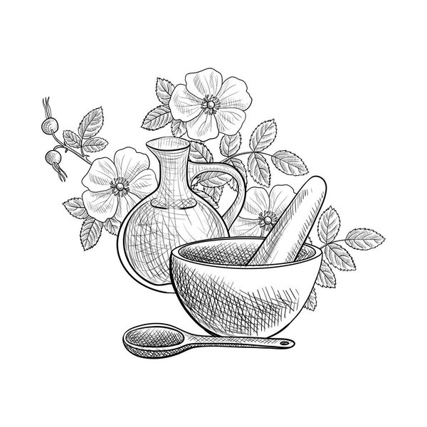 vector drawing cinnamon rose