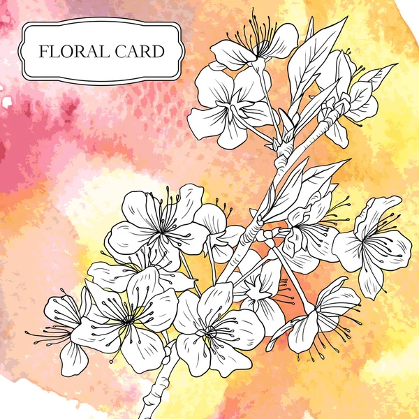 Vektorové akvarel zázemí s Třešňové květy — Stockový vektor