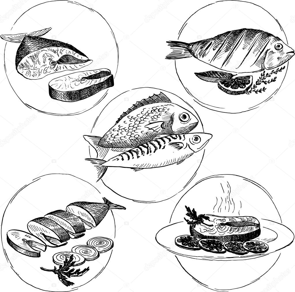 set of hand drawn fish dishes