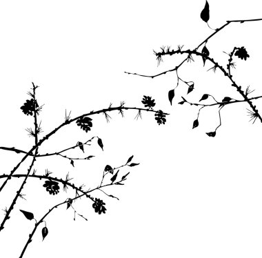 ağaç dallarının Silhouettes