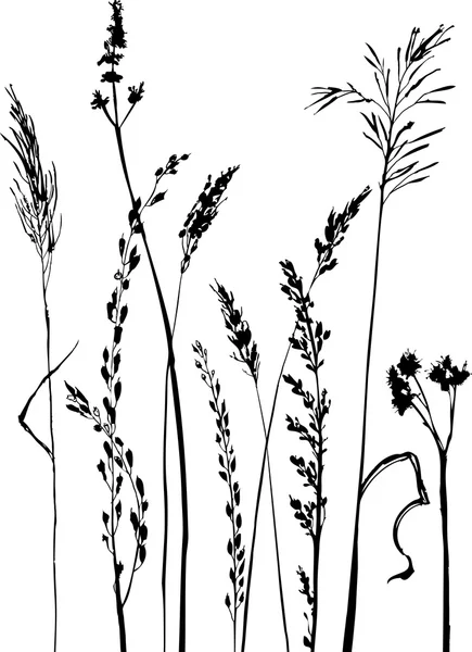 Siluety květin a trávy — Stockový vektor