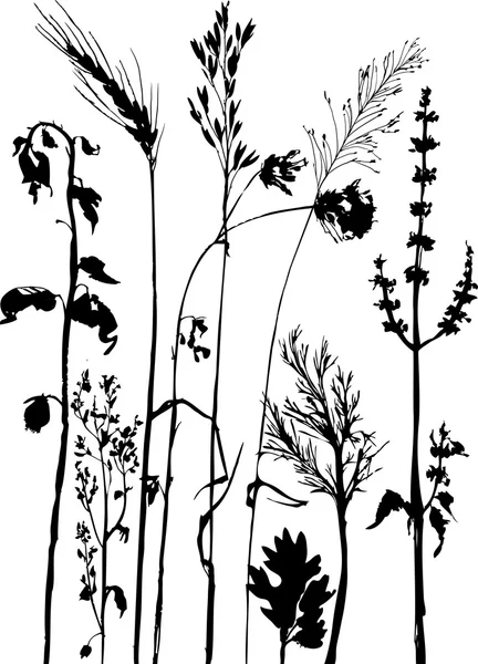 Silhouettes de fleurs et d'herbe — Image vectorielle