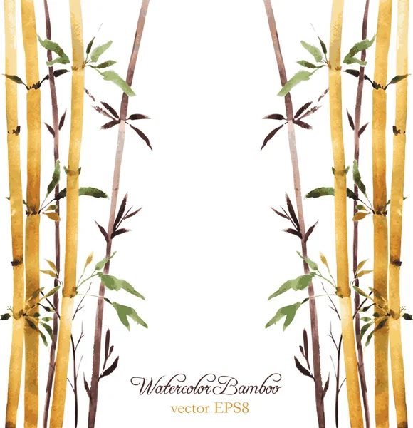 Bamboo grove — Stock Vector