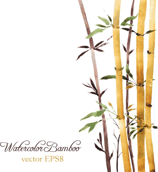 Bamboo grove — Stock Vector