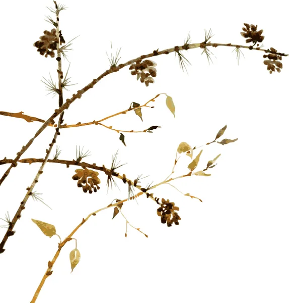 カラマツの水彩画の枝 — ストックベクタ