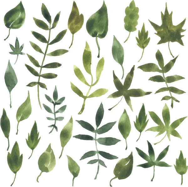 Ensemble de silhouettes par feuilles en aquarelle — Image vectorielle