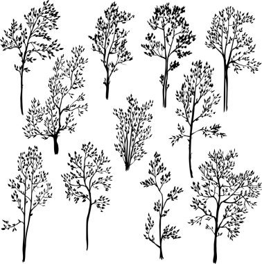 set of different spring trees clipart