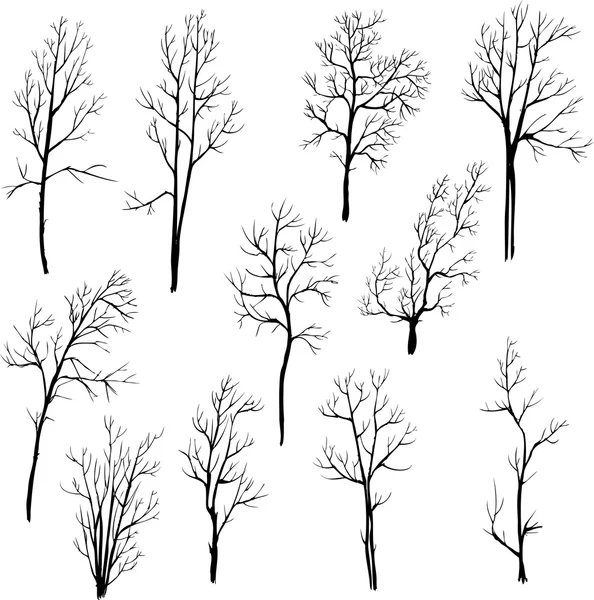 Ensemble de différents arbres d'hiver — Image vectorielle