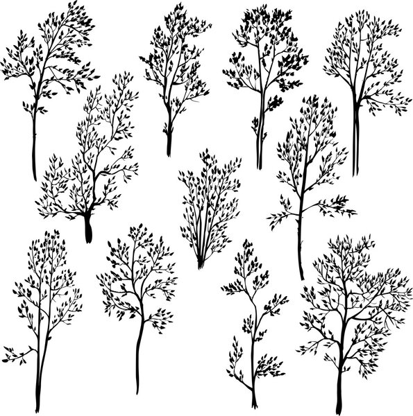 set of different spring trees