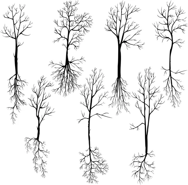 Conjunto de diferentes árboles de invierno y raíces — Vector de stock