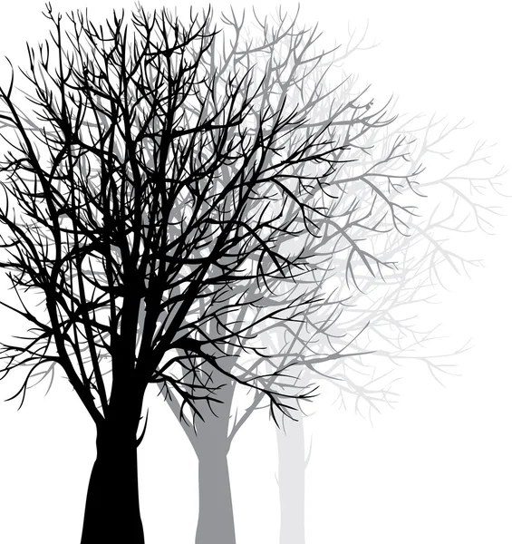 Fond vectoriel avec arbres — Image vectorielle