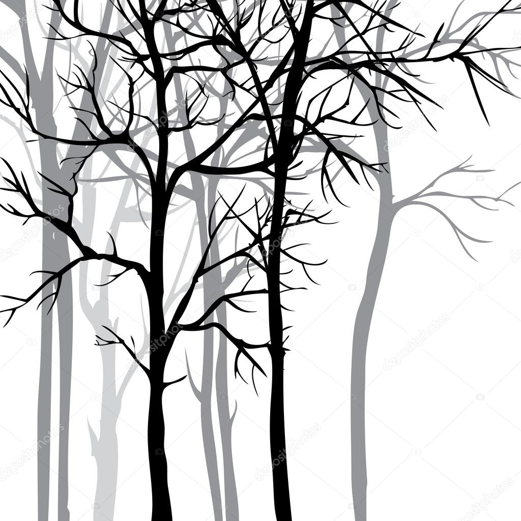 Vector background with trees