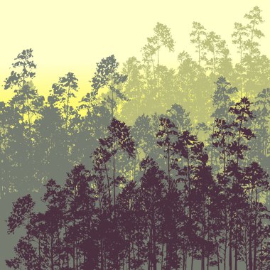 templos en chiang mai