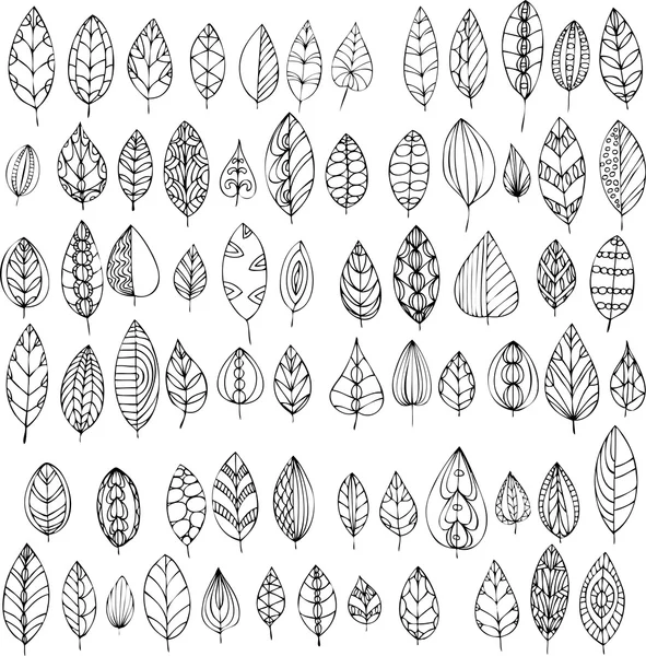 Conjunto de hojas abstractas decorativas — Vector de stock