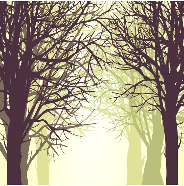 Sfondo vettoriale con alberi — Vettoriale Stock