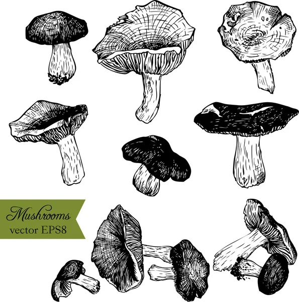 Ensemble de champignons de dessin linéaire — Image vectorielle