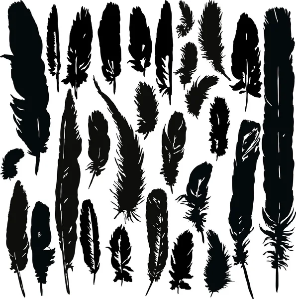 Ensemble de silhouettes par plumes — Image vectorielle