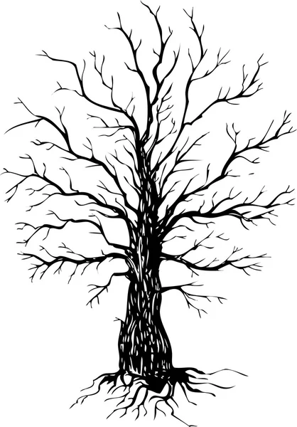 Vektor Tusche Zeichnung Baum — Stockvektor