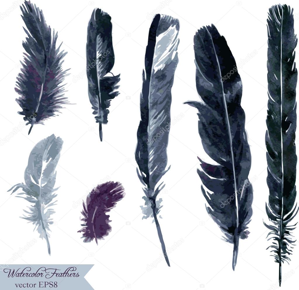 set of plumes