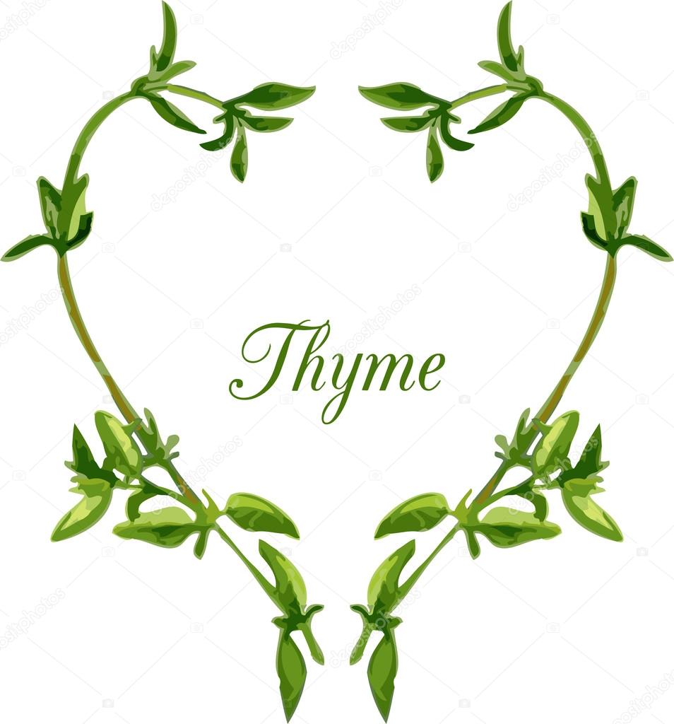 heart by sprigs of thyme