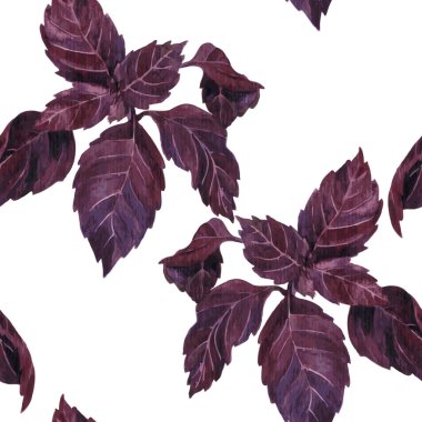 seamless pattern with leaves of basil clipart