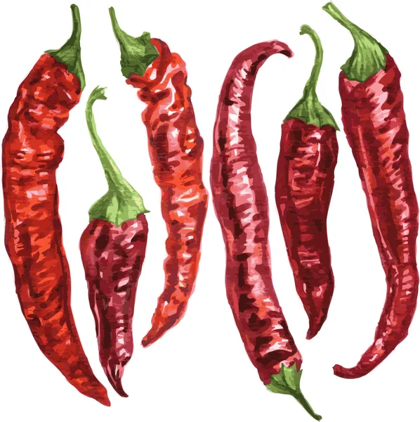 Set of chili pepper — Stock Vector