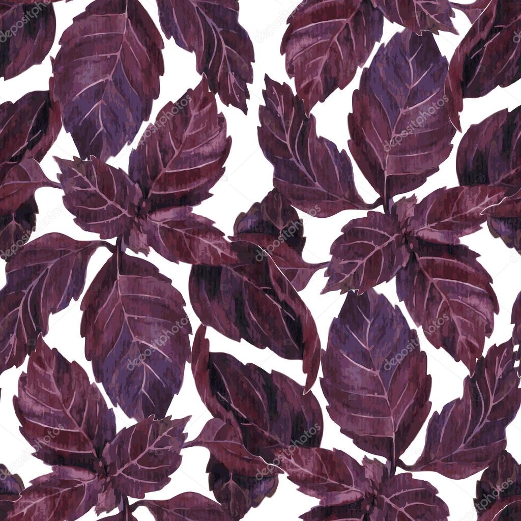 seamless pattern with leaves of basil