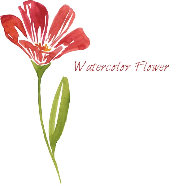Acuarela dibujo rojo flor — Archivo Imágenes Vectoriales