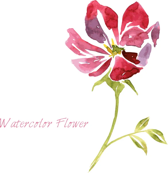 Watercolor drawing flower — Stock Vector