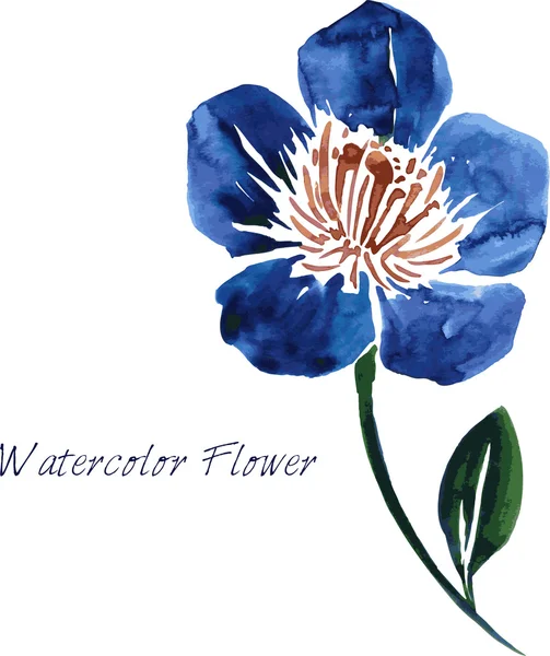 Aquarel tekening bloem — Stockvector