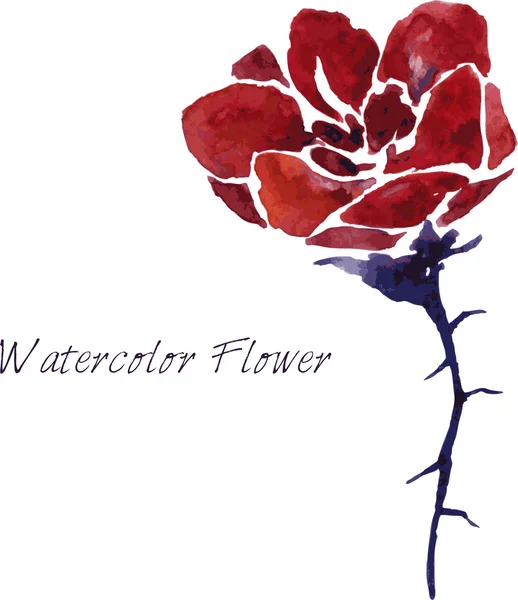 Akvarel výkresu květ — Stockový vektor