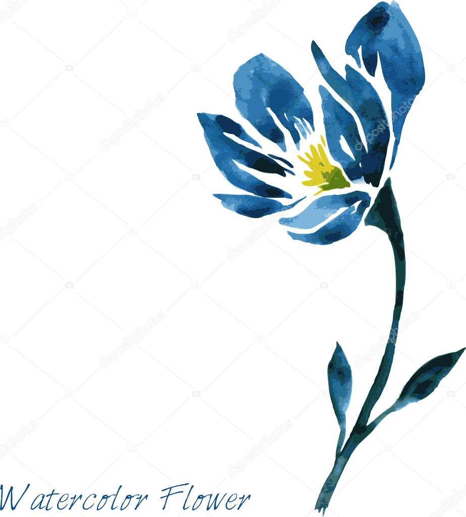 水彩描画青い花 ストックベクター C Cat Arch Angel
