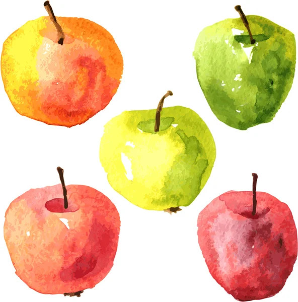 Conjunto de manzanas acuarela dibujo — Vector de stock
