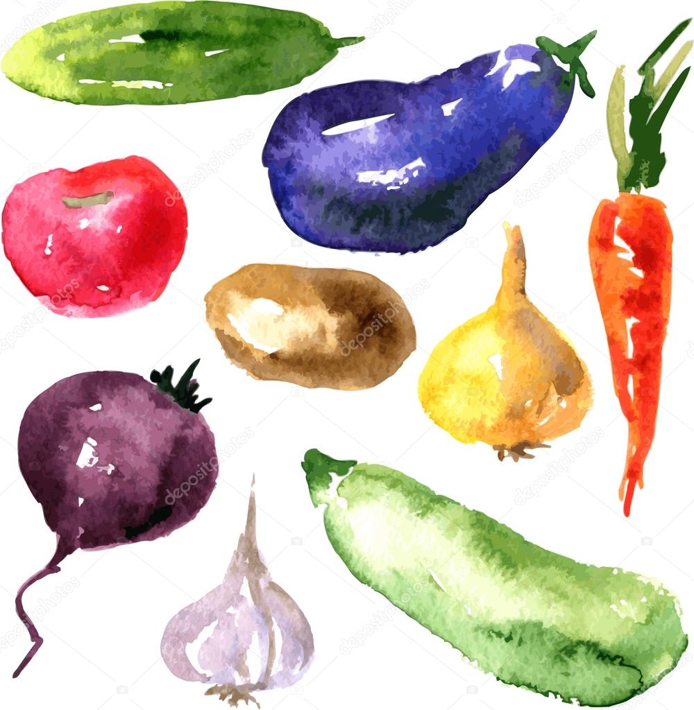 Set of  watercolor drawing vegetables